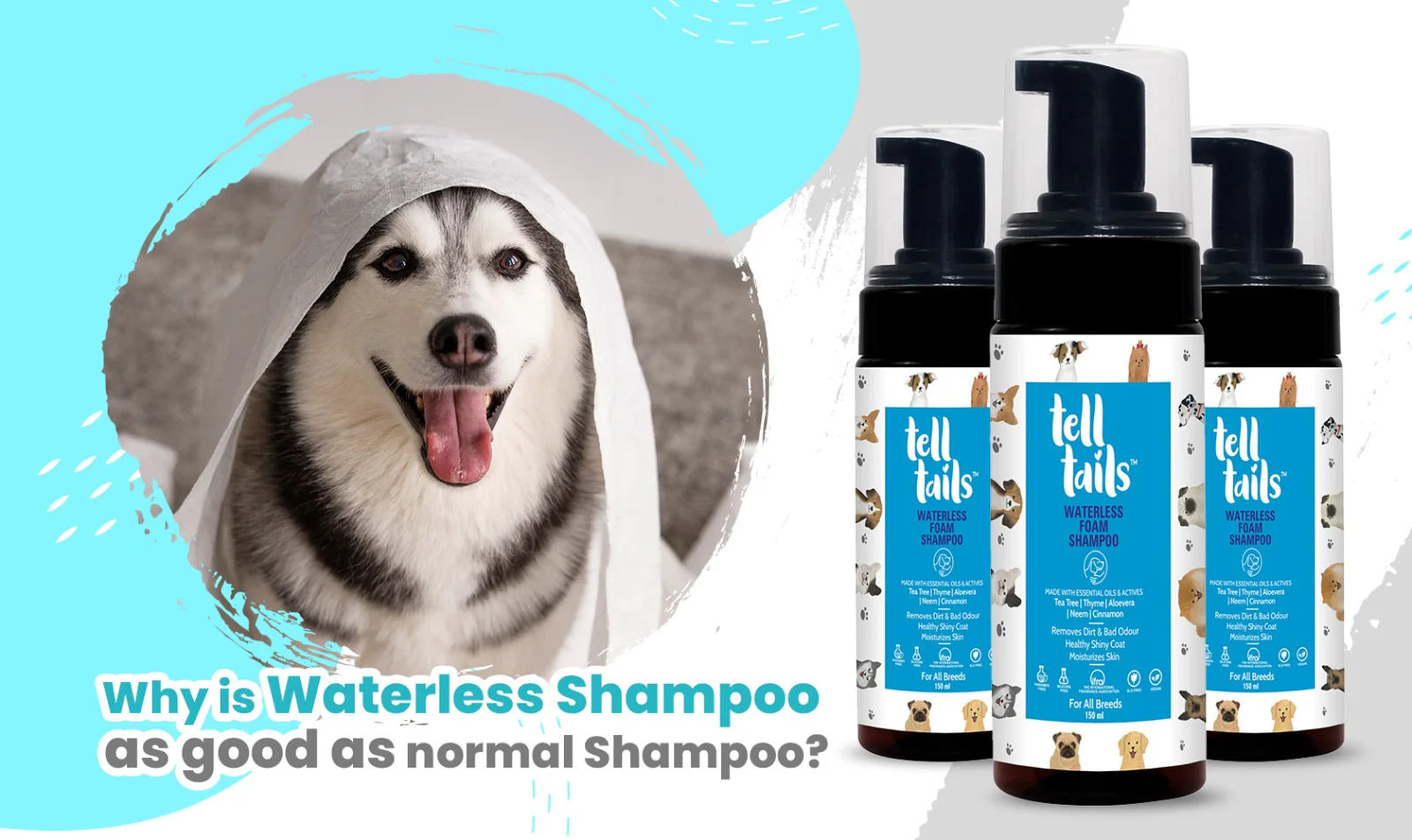 dry shampoo for dogs