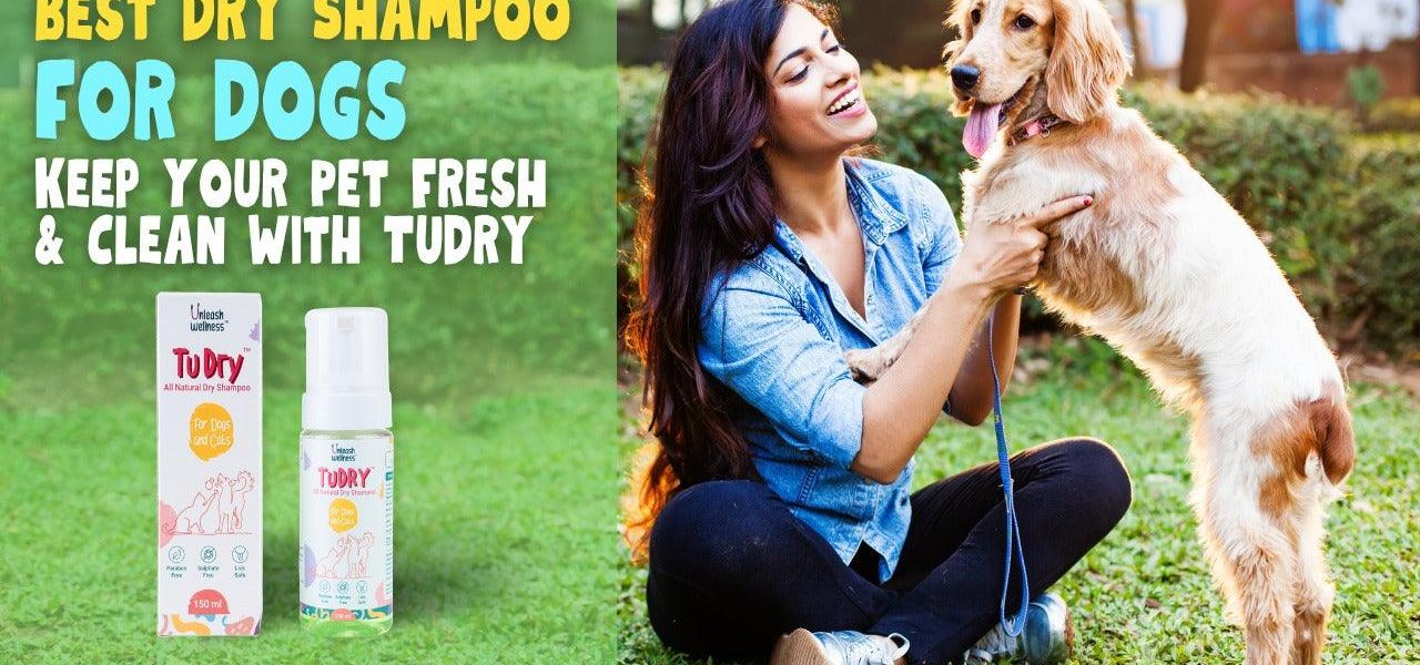 dry shampoo for dogs