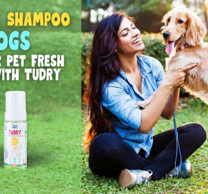 dry shampoo for dogs