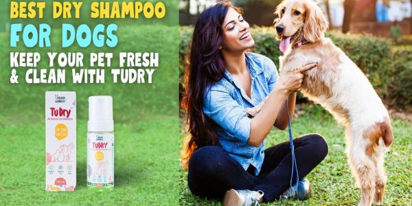 dry shampoo for dogs