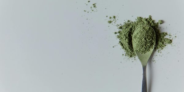 uji matcha