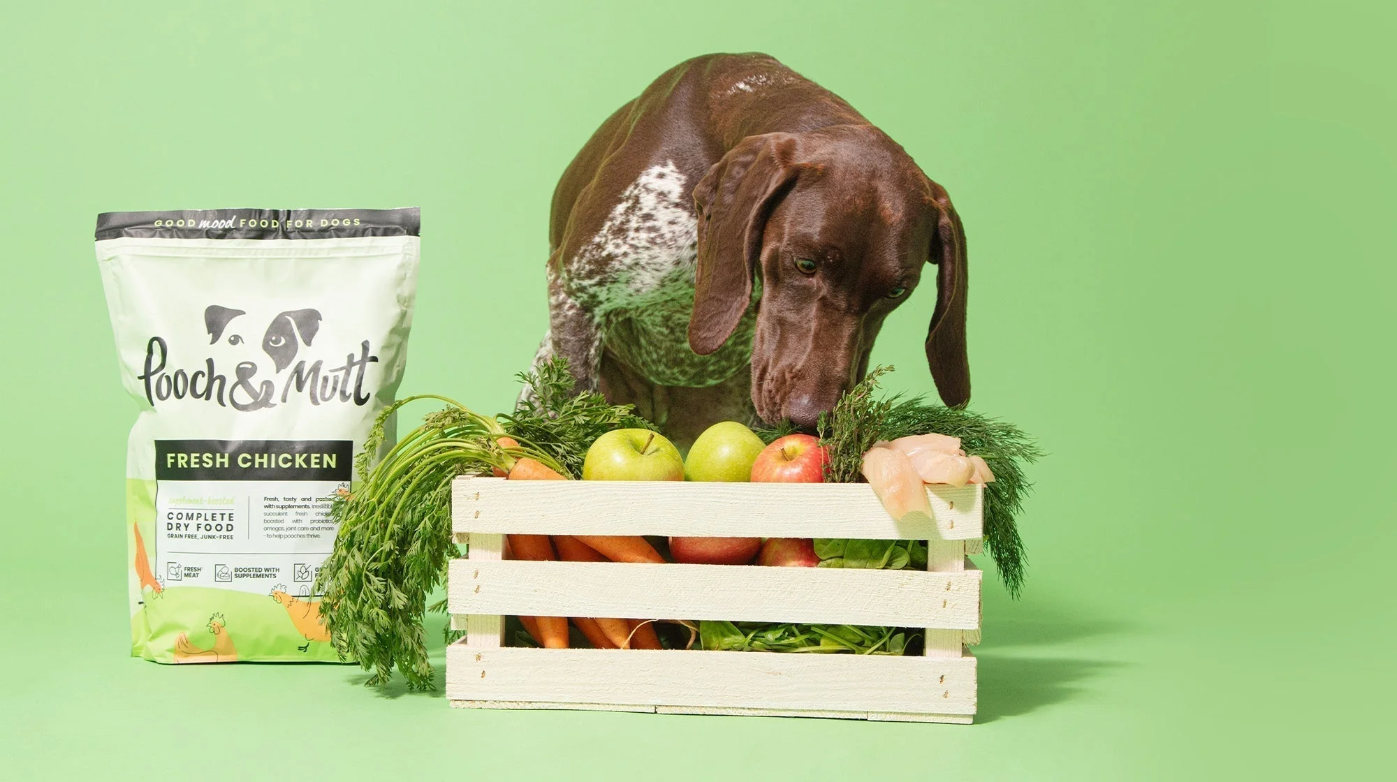best dog food for gut health