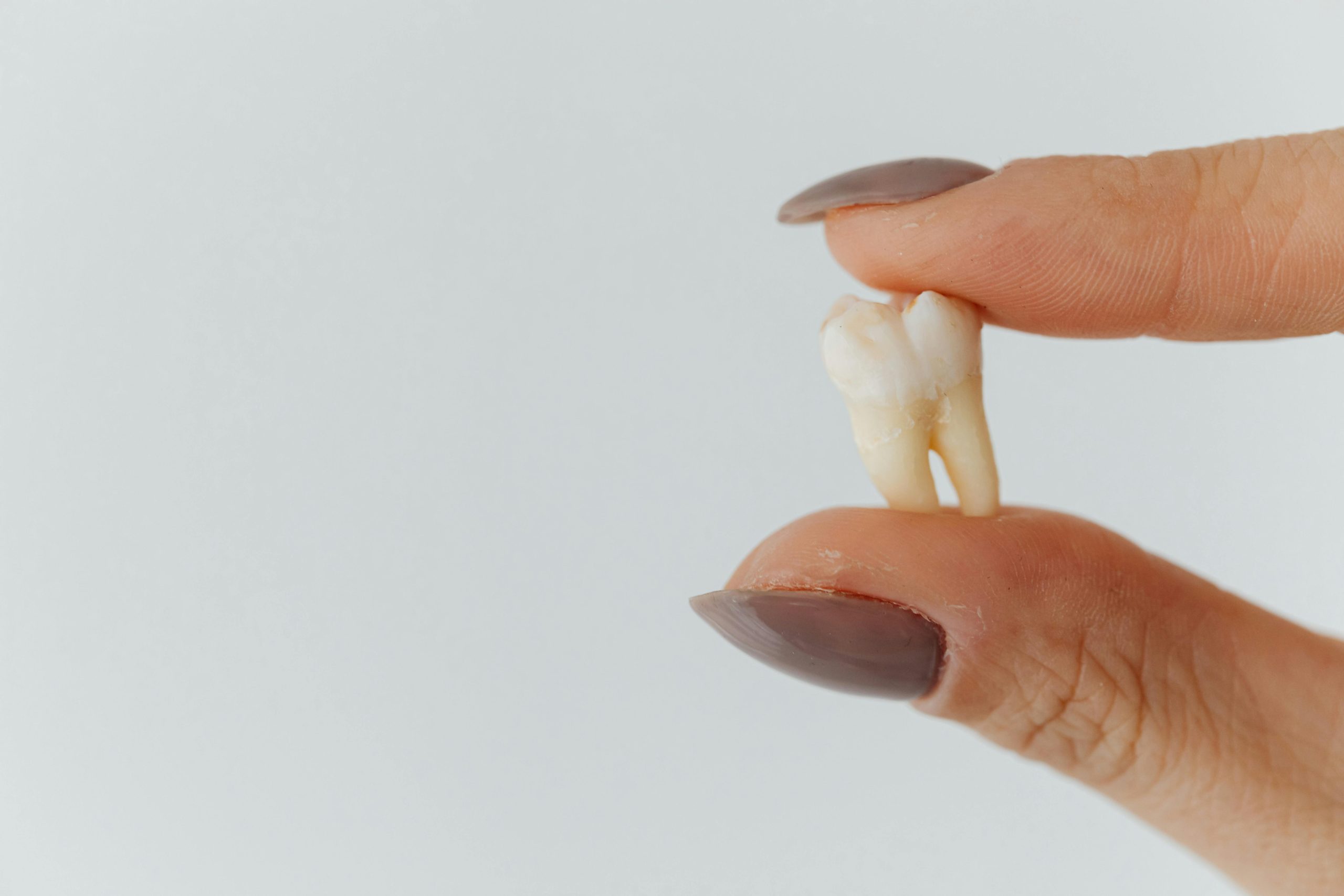 best gum for teeth health